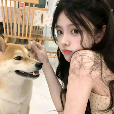 美洛耶塔的闪亮音乐会